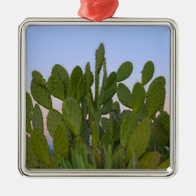 Kakteen und Sisal im Trockenwald Ornament Aus Metall (Vorne)