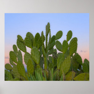 Kakteen und Sisal im Trockenwald Poster