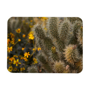 Kakteen und Wildblumen Magnet