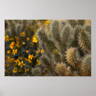 Kakteen und Wildblumen Poster