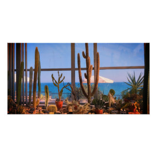 Kakteenpflanzen und Meer Poster