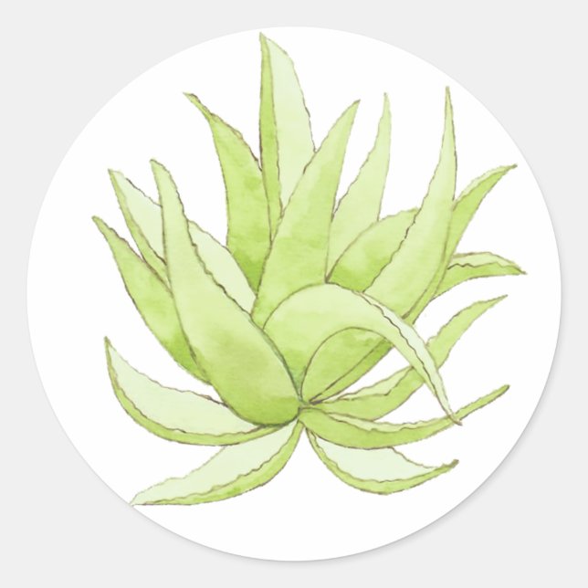 Kaktsticker aloe vera runder aufkleber (Vorderseite)