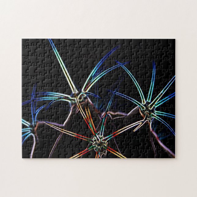 Kaktus 1 11x14 252pc jpcna puzzle (Horizontal)