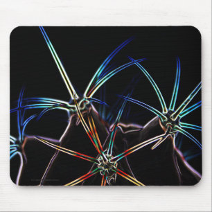 Kaktus 1 mpcnm mousepad