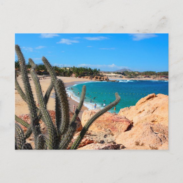 Kaktus auf der Felshütte über Sandy Beach Postkarte (Vorderseite)