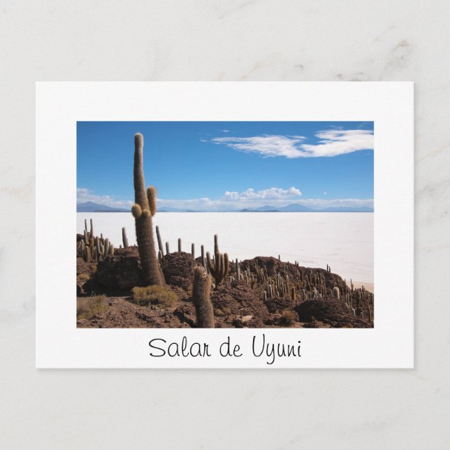 Kaktus auf der Postkarte des Salar de Uyuni (Vorderseite)