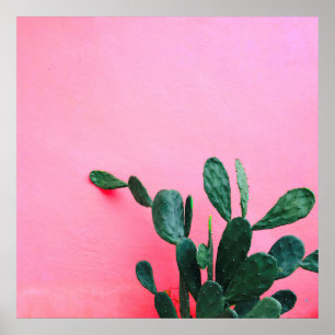 Kaktus auf rosa Hintergrund Poster