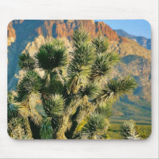 Kaktus-Baum Mousepad