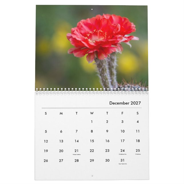 Kaktus-Blume Kalender (Dez 2027)