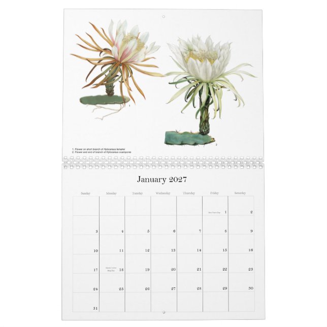 Kaktus-Blumen-Kalender Kalender (Jan 2027)
