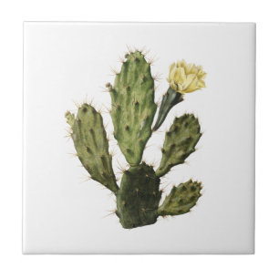 Kaktus-Blumen-Vintage-Zeichnung Keramikfliese