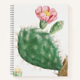 Kaktus Cochenillifer, alte Illustration, 1799 Notizbuch
