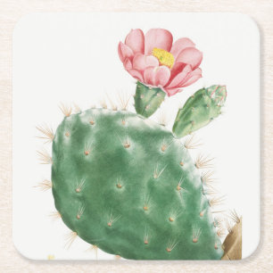 Kaktus Cochenillifer, antike Illustration, 1799 Rechteckiger Pappuntersetzer