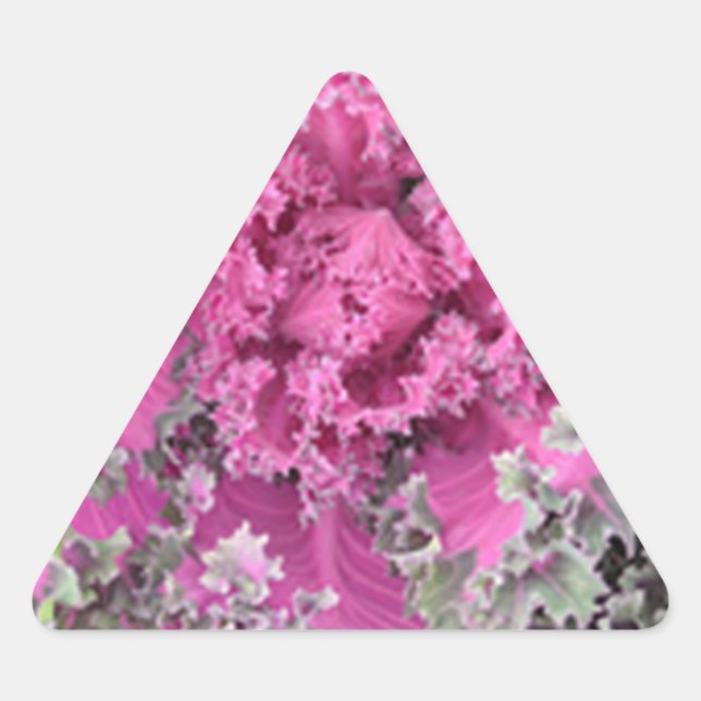 Kaktus Dreieckiger Aufkleber (Vorderseite)