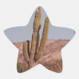 Kaktus-Fotokleber Stern-Aufkleber
