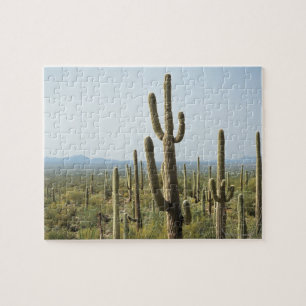 Kaktus im Saguaro-Nationalpark, Arizona 2 Puzzle