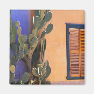 Kaktus im Südwesten (Opuntia-Dejekta) und Magnet