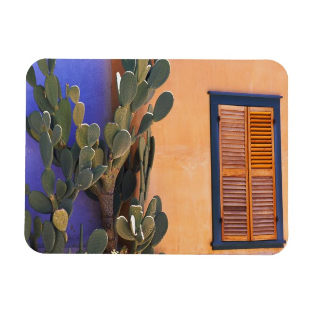 Kaktus im Südwesten (Opuntia-Dejekta) und Magnet (Horizontal)