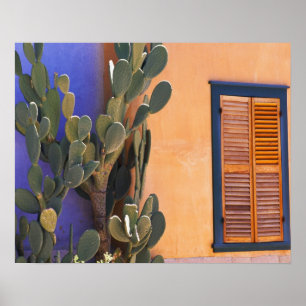 Kaktus im Südwesten (Opuntia-Dejekta) und Poster