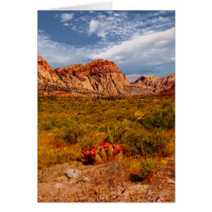 Kaktus in der Wüste, Südwesten, Leere im Inneren