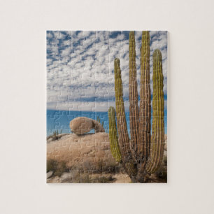 Kaktus in wüstenlandschaft puzzle