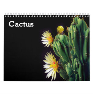 Kaktus-Kalender 2027 Kalender