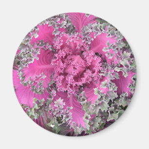 Kaktus Magnet