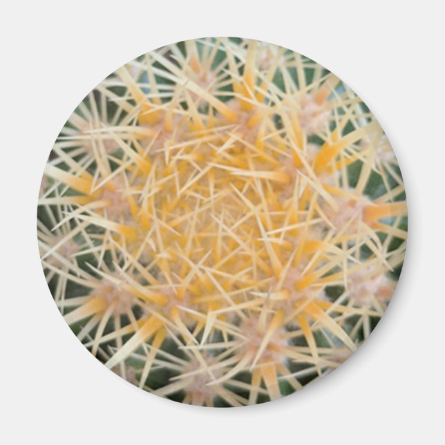 Kaktus Magnet (Vorne)