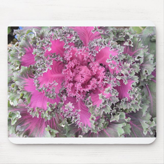 Kaktus Mousepad (Vorne)