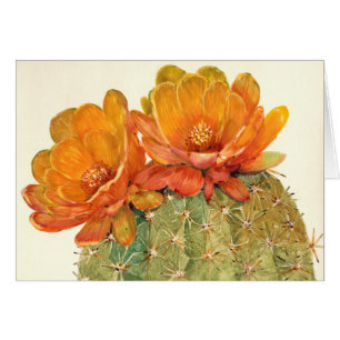 Kaktus-Orangen-Blüten