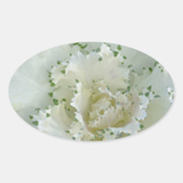 Kaktus Ovaler Aufkleber