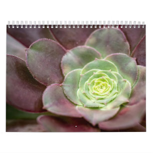 Kaktus Print   Eine Wüstenkaktus-Blume Kalender