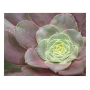 Kaktus Print Eine Wüstenkaktus-Blume Notizblock