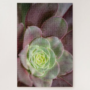 Kaktus Print Eine Wüstenkaktus-Blume Puzzle