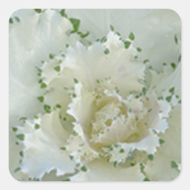 Kaktus Quadratischer Aufkleber (Vorderseite)