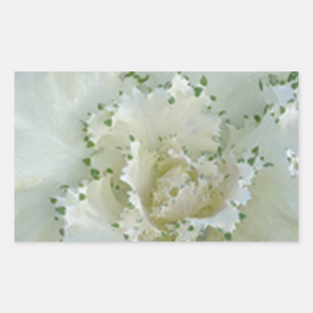 Kaktus Rechteckiger Aufkleber (Vorderseite)