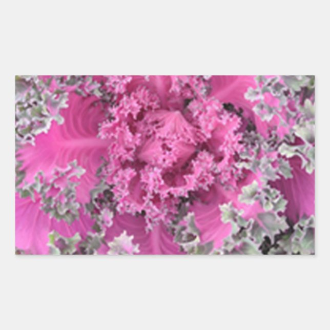 Kaktus Rechteckiger Aufkleber (Vorderseite)