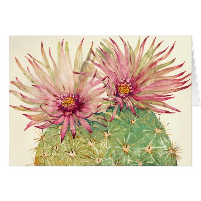 Kaktus Rosa Blüten (Vorderseite (Horizontal))