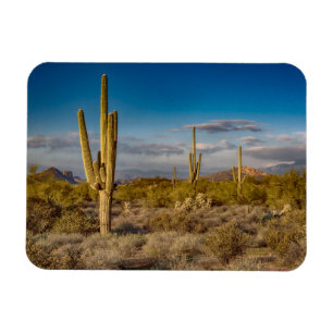 Kaktus-Sonnenuntergang in Arizona Magnet