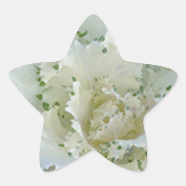 Kaktus Stern-Aufkleber (Vorderseite)