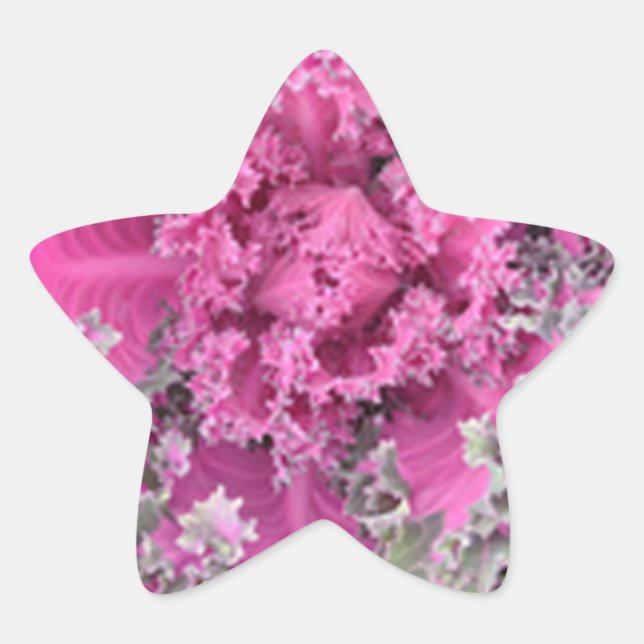 Kaktus Stern-Aufkleber (Vorderseite)