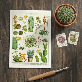 Kaktus Sukkulenten Botanische Illustrations-Postka Postkarte