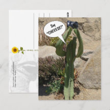 Kaktus Tourist, sagen Sie CHEEESE - Postkarte