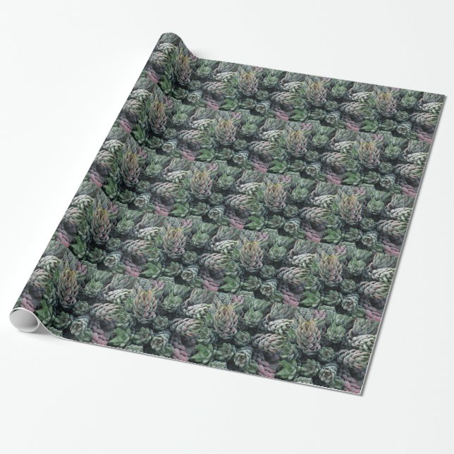Kaktus Wrapping Paper Geschenkpapier (Ungerollt)