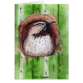 Kaktus-Zaunkönig-Aufpassen