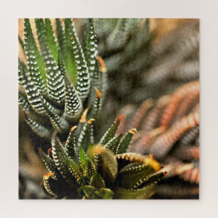 Kaktus zu puzzle
