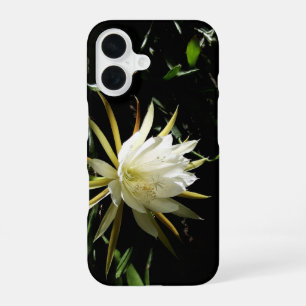 Kaktusblüte iPhone 16 Hülle
