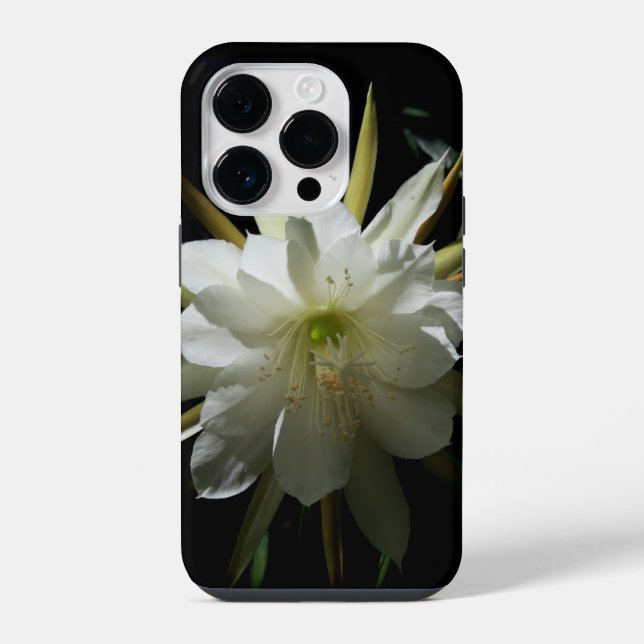 Kaktusblüte iPhone Hülle (Rückseite)
