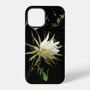 Kaktusblüte iPhone 12 Pro Hülle