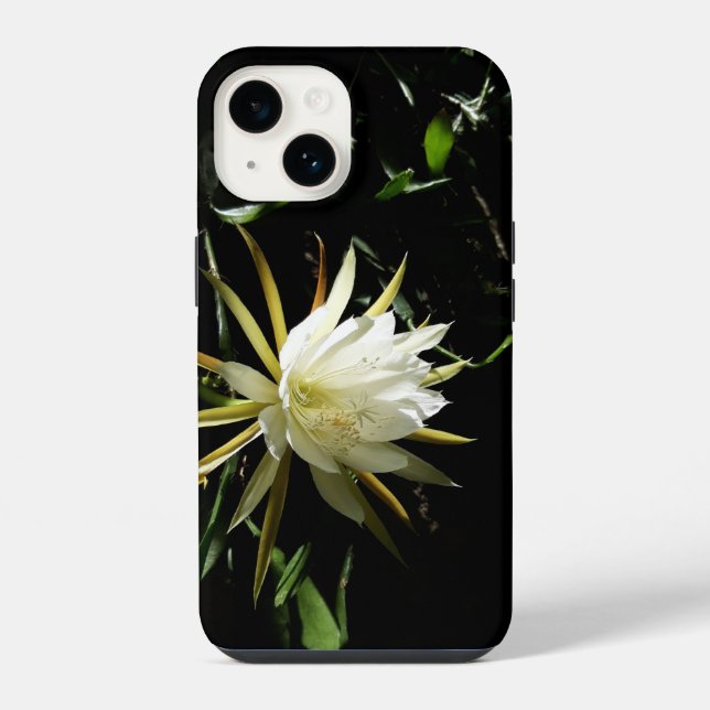 Kaktusblüte iPhone Hülle (Rückseite)